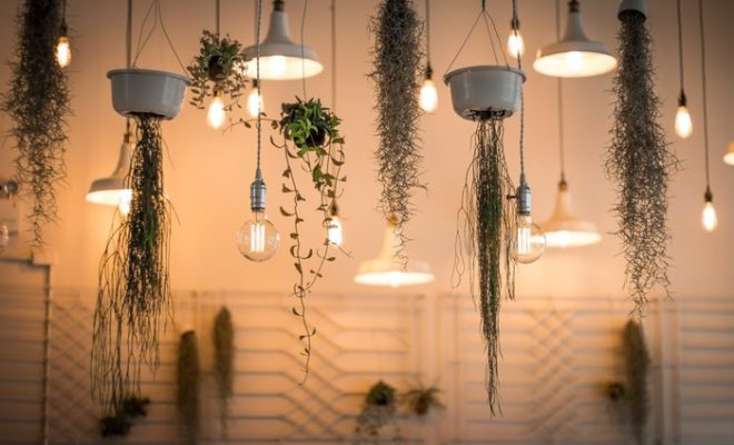 Why Crown Light Bulbs Are The Ultimate Metallic Interior Must Have