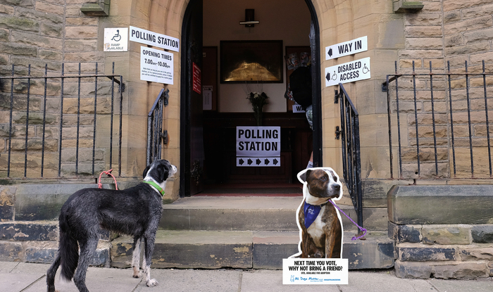 Pet Charity ‘All Dogs Matter’ Taps #DogsatPollingStations Trend to Encourage Adoption