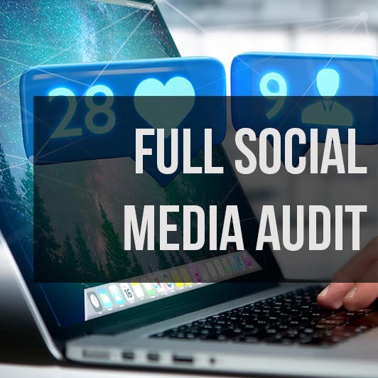 Full Social Media Audit