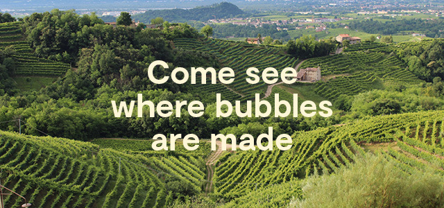 The ultimate prosecco travel experience launches with a promise to show fizz fans where bubbles are made