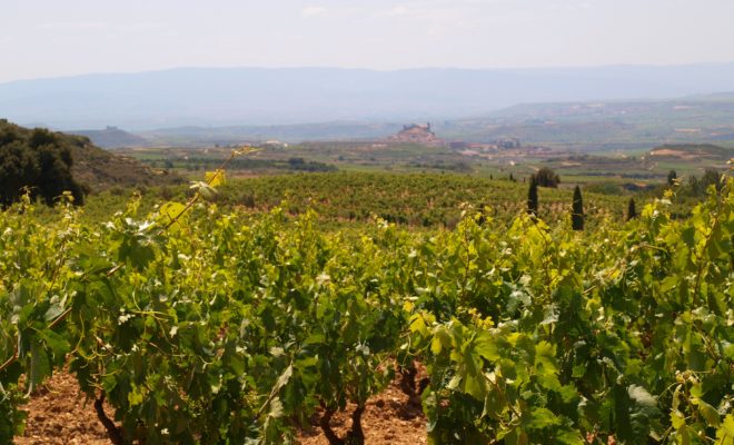 Thabuca Wine Tours Serve Up Northern Spain’s Rioja Region This Summer