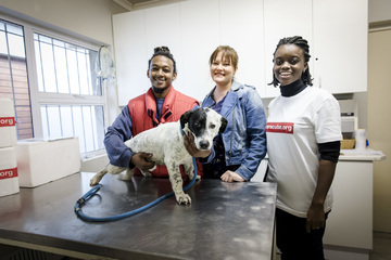 CareCube Launches Pet Vaccination Project in South Africa to Help Low Income Communities