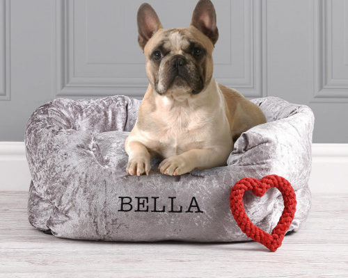 GiftPup extends its pet bed range following successful launch
