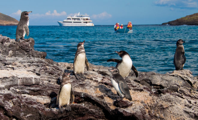 Galapagos Cruise Specialist Announces New Itineraries for 2021 Vacations