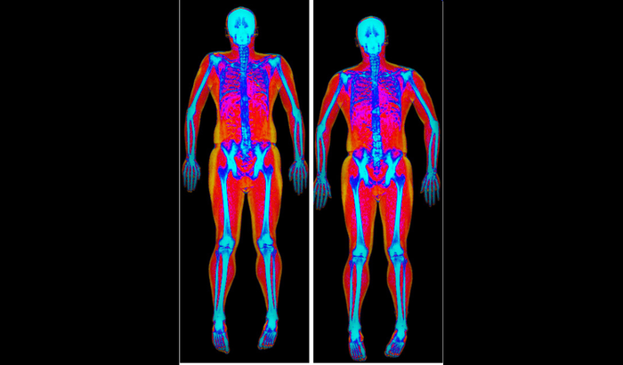 Fitness Brand Launches Free Body Composition Post-Lockdown Training Program