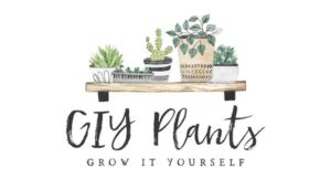 GIYPlants Revolutionizes Gardening Shopping with Plants Available at The Click of a Button