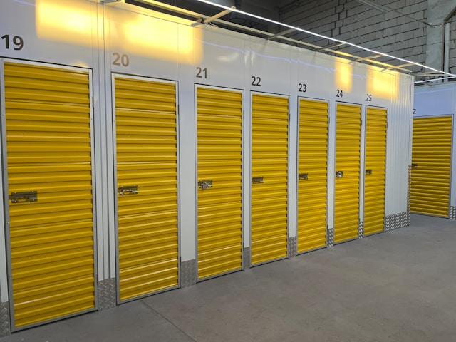 Cold Storage, Hot Demand: Pallet Trucks for the Frozen Supply Chain Boom