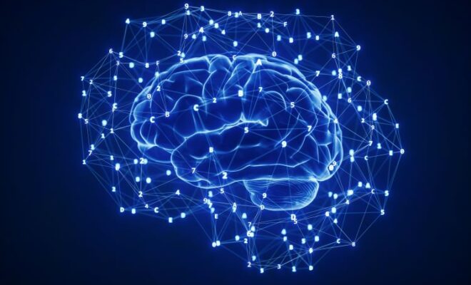 Supp Calls for Greater Public Awareness as Study Links Vitamin D Deficiency to Higher Dementia Risk