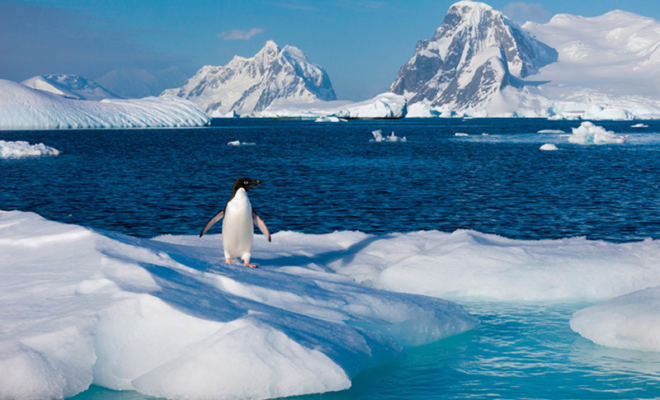 Travelers Planning Antarctica for 2026 Are Already Running Out of Time, Says Voyagers Travel