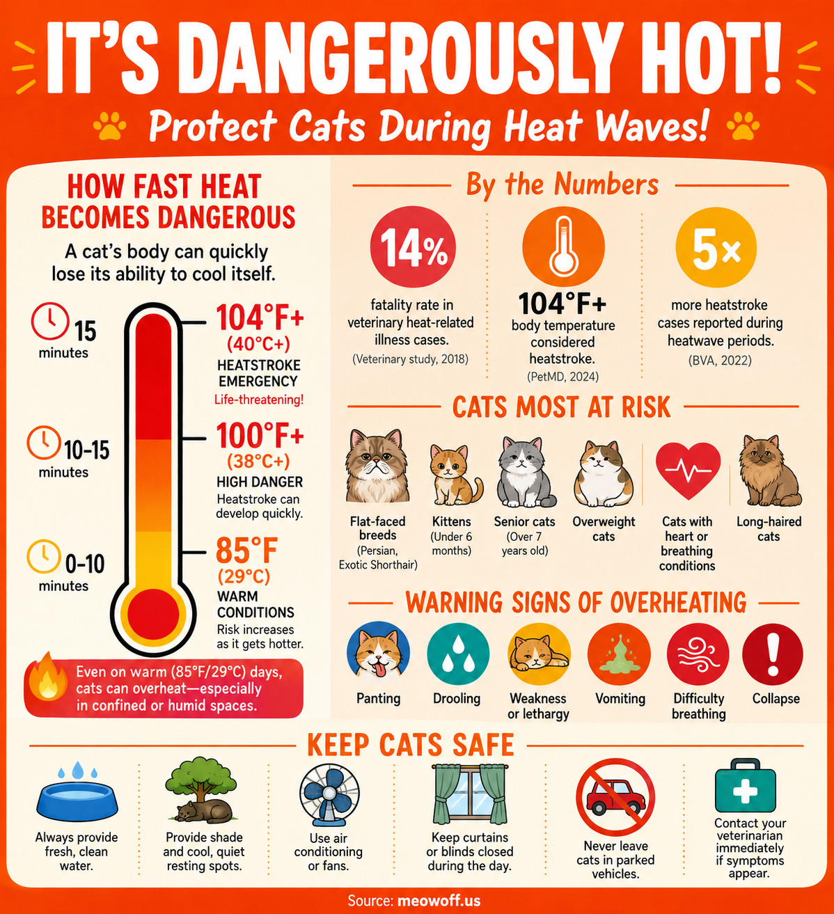 MeoWoff Flags Growing Summer Risk for Pets as Temperatures Climb