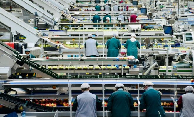 Food Manufacturers Are Holding More Buffer Stock Ahead of Harvest Volatility