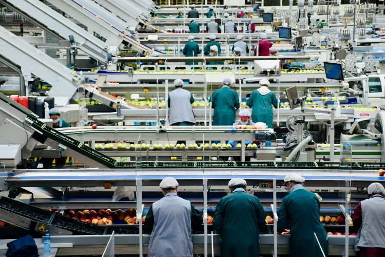 Food Manufacturers Are Holding More Buffer Stock Ahead of Harvest Volatility